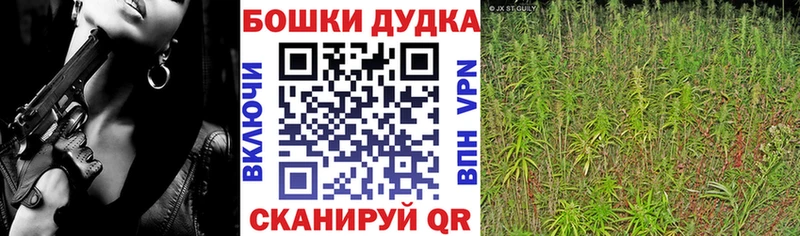 Бошки марихуана конопля  Купить закладки  Подпорожье 